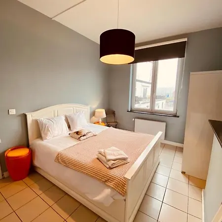 Apartment Fenetre Sur Le Standard De Liege