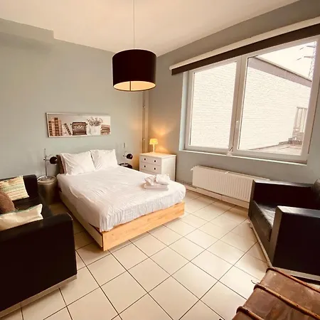 Fenetre Sur Le Standard De Liege *