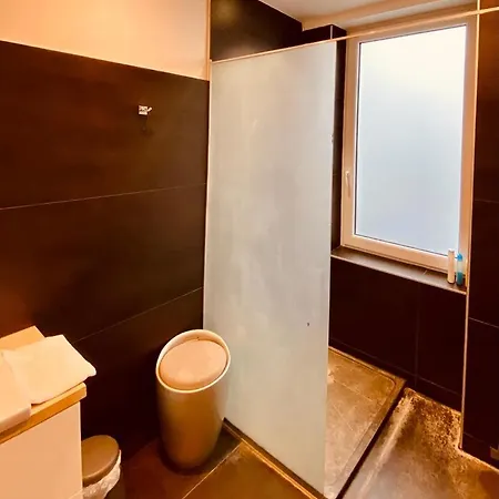 Daire Fenetre Sur Le Standard De Liege *