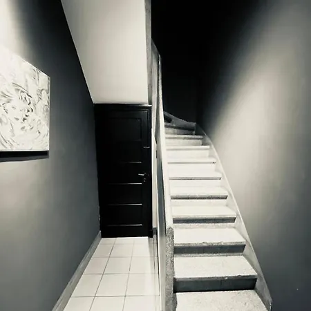 Fenetre Sur Le Standard De Liege Daire