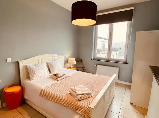 Appartamento Fenêtre Sur Le Standard De Liège